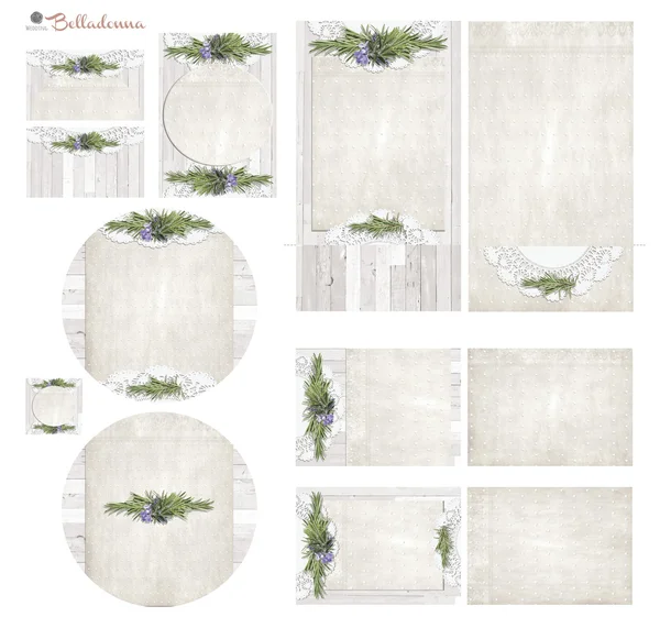 White wash board with rosemary herb sprig and flowers vintage paper text box Set2 — Stock Photo, Image