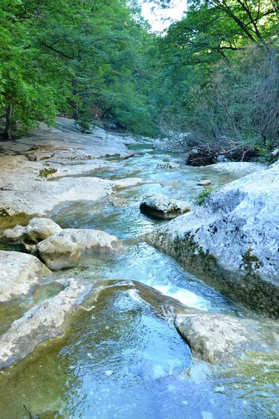 Der Fluss in Stein gemeißelt — Stockfoto