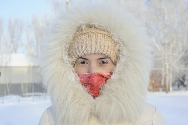 The girl in a fur coat has frozen in the winter. — Stockfoto