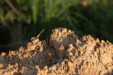 toprak nugget, toprak kesek, toprak yumru, toprak yığın