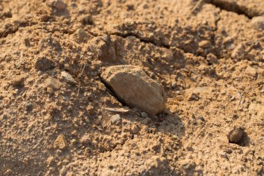 toprak nugget, toprak kesek, toprak yumru, toprak yığın