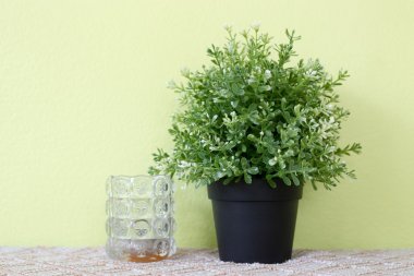 Çim şişeleri ile yeşil duvarda Yapay Saksı Bitkileri