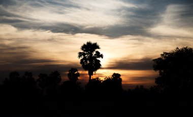 küçük keşiş modeli