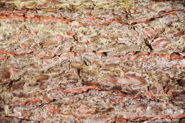 Güzel sağlam zemin