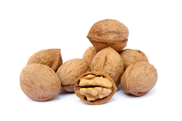 Fresh walnut with a shell