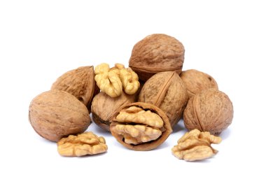 Bir kabuk ile taze ceviz