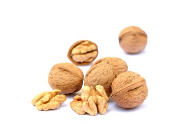 Bir kabuk ile taze ceviz 