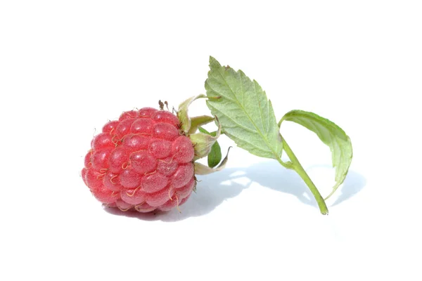 Sweet ripe raspberry — Stock Photo, Image