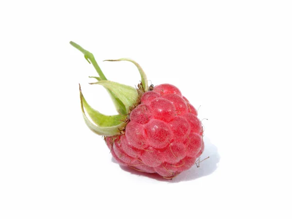 Sweet ripe raspberry — Stock Photo, Image