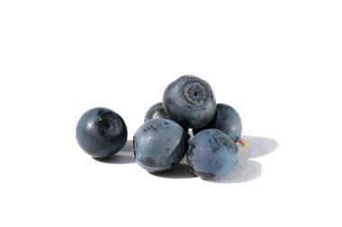  Mavi olgun yaban mersini 