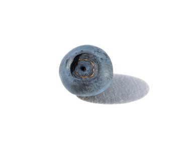 Mavi olgun yaban mersini