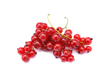 taze kırmızı kuş üzümü