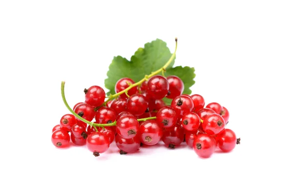 Currant merah segar — Stok Foto