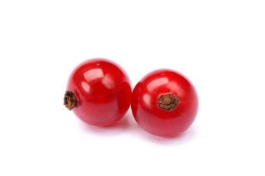 taze kırmızı kuş üzümü