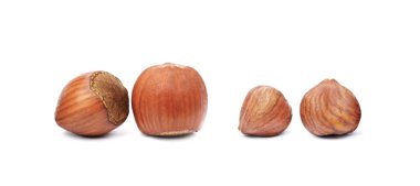 Sağlıklı grup fındıkları beyaz arka planda izole edildi