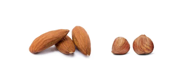 Group Healty Hazelnuts Almond Isolated White Background — Stock Photo, Image