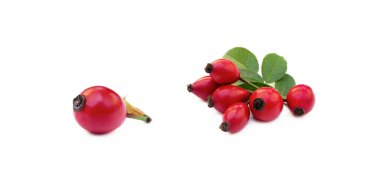 Olgun gül kalçası beyaz arkaplanda izole