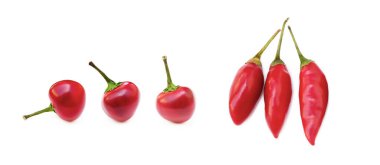 Beyaz arka plan üzerinde izole kırmızı biber