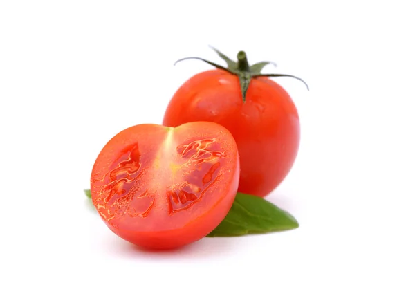 Świeżych pomidorów z bazylią — Zdjęcie stockowe