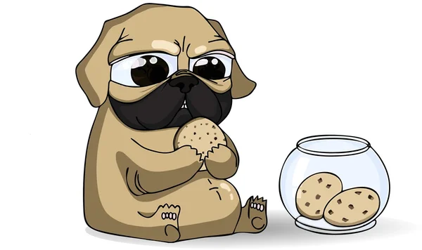 Sevimli tombul pug