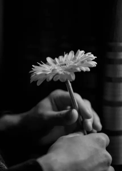 Flower Man Hand — Stock Photo, Image