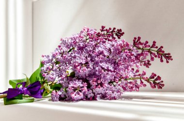 Beyaz arkaplanda leylak.