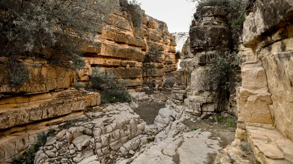Ermenistan 'daki Meleklerin Vadisi (kanyon) manzaraları.