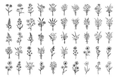 Plant hand drawn vector, set of flower branch and leaves illustration