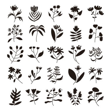 Set of plant silhouette vector, hand drawn flower and leaves