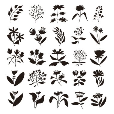 Set of plant silhouette vector, hand drawn flower and leaves