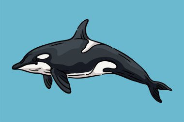 Orca Balinası İllüstrasyonu, Vahşi Yaşam Hayvan Çizgisi Sanat Vektörü