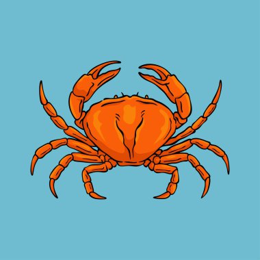 crab Illustration, Wildlife Animal Line Art Drawing Vector