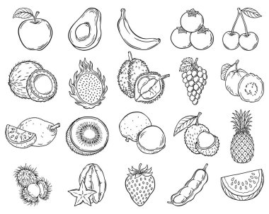 El yapımı Meyve Çizgisi Sanat Seti, Tropikal ve Egzotik Meyve Resimleri Koleksiyonu