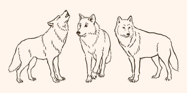 Wolf Line Sanat Seti, Wolf Pack İllüstrasyon Vektörü