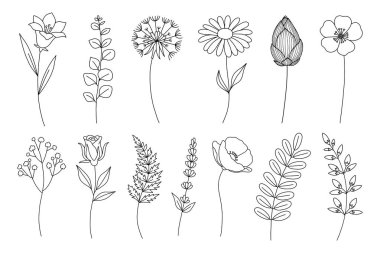 Asgari Çiçek ve Şube Çizgisi Sanat Set Siyah ve Beyaz Botanik Vektör İllüstrasyonu