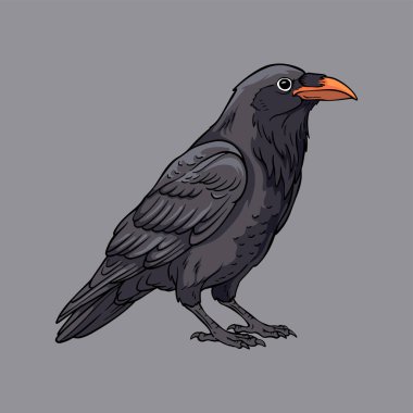 Karikatür genel kuzgun illüstrasyonu, gri arka planda turuncu gagalı siyah karga kuşu