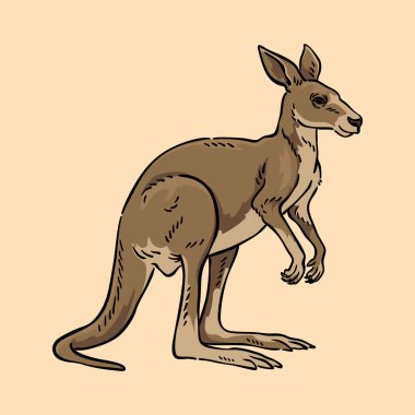 kanguru illüstrasyonu, Vahşi Yaşam Hayvan Çizgisi Sanat Vektörü