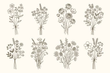 Yaban Çiçeği Buket Çizgisi Sanat Seti, Botanik Çiçek Çizimleri