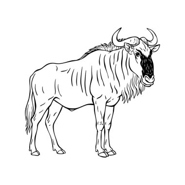 El çizimi Antiloplar Çizgisi Sanat İllüstrasyonu, Afrika Vahşi Hayvan Çizimi Siyah ve Beyaz