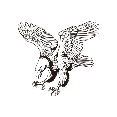 Uçan Kartal Çizgisi Yayılmış Kanatlar, Siyah ve Beyaz Çizgili Yırtıcı Kuş