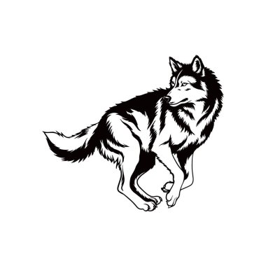 Wolf Illustration, Wolf Ayrıntılı Siluet beyaz arka planda