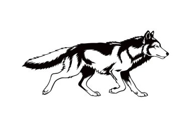 Wolf Illustration, Wolf Ayrıntılı Siluet beyaz arka planda