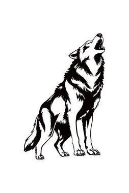 Wolf Illustration, Wolf Ayrıntılı Siluet beyaz arka planda