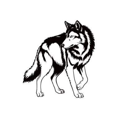 Wolf Illustration, Wolf Ayrıntılı Siluet beyaz arka planda