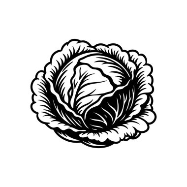 Lahana Sebze İllüstrasyonu, Siyah ve Beyaz Çizgi Sağlıklı Yemek Simgesi