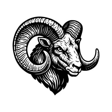 Ram Kafası İşleme Çizimi, Bighorn Koyun Çizgisi Sanatı