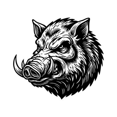 Yaban domuzu kafası tasviri, Saldırgan Yaban domuzu Yüzü Çizgisi Sanatı, Vahşi Hayvan Vektörü