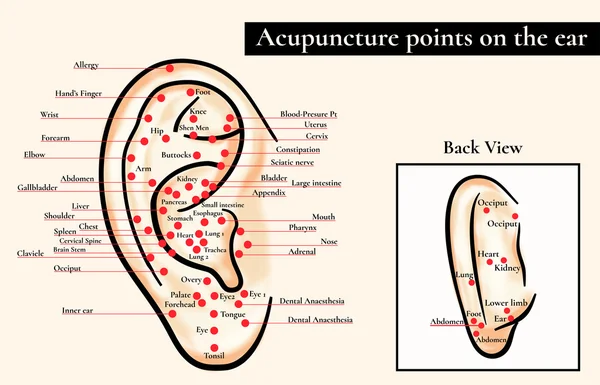 ᐈ Acupuncture points stock images, Royalty Free acupuncture ...