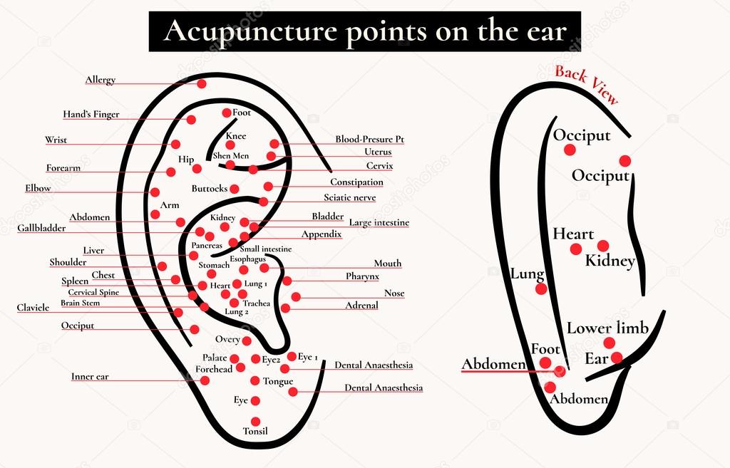 Auricular Acupuncture Chart Download
