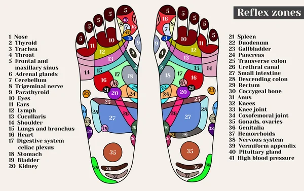 Acupunctuurpunten op de voeten. De reflex zones op de voeten. Acupunctuur. — Stockvector